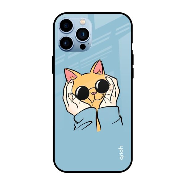 Adorable Cute Kitty Glass Case For iPhone 13 Pro Online Sale