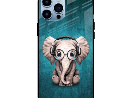 Adorable Baby Elephant Glass Case For iPhone 13 Pro Cheap