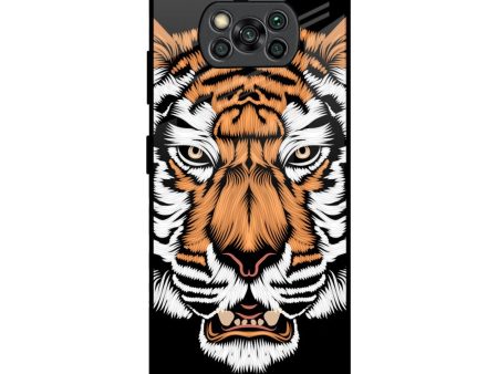 Angry Tiger Glass Case For Poco X3 Pro Online Sale